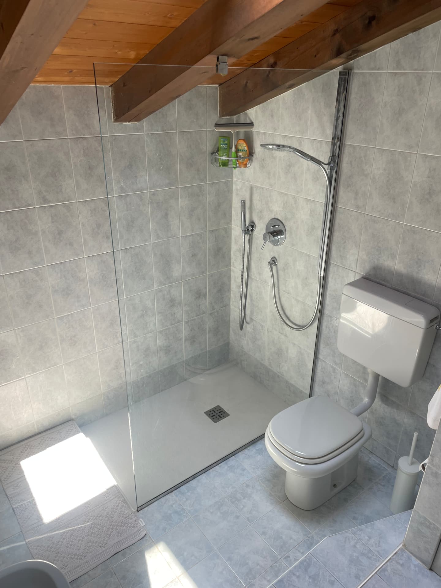 Walk-in shower behind a glass panel under exposed wooden roof beams, beside the toilet