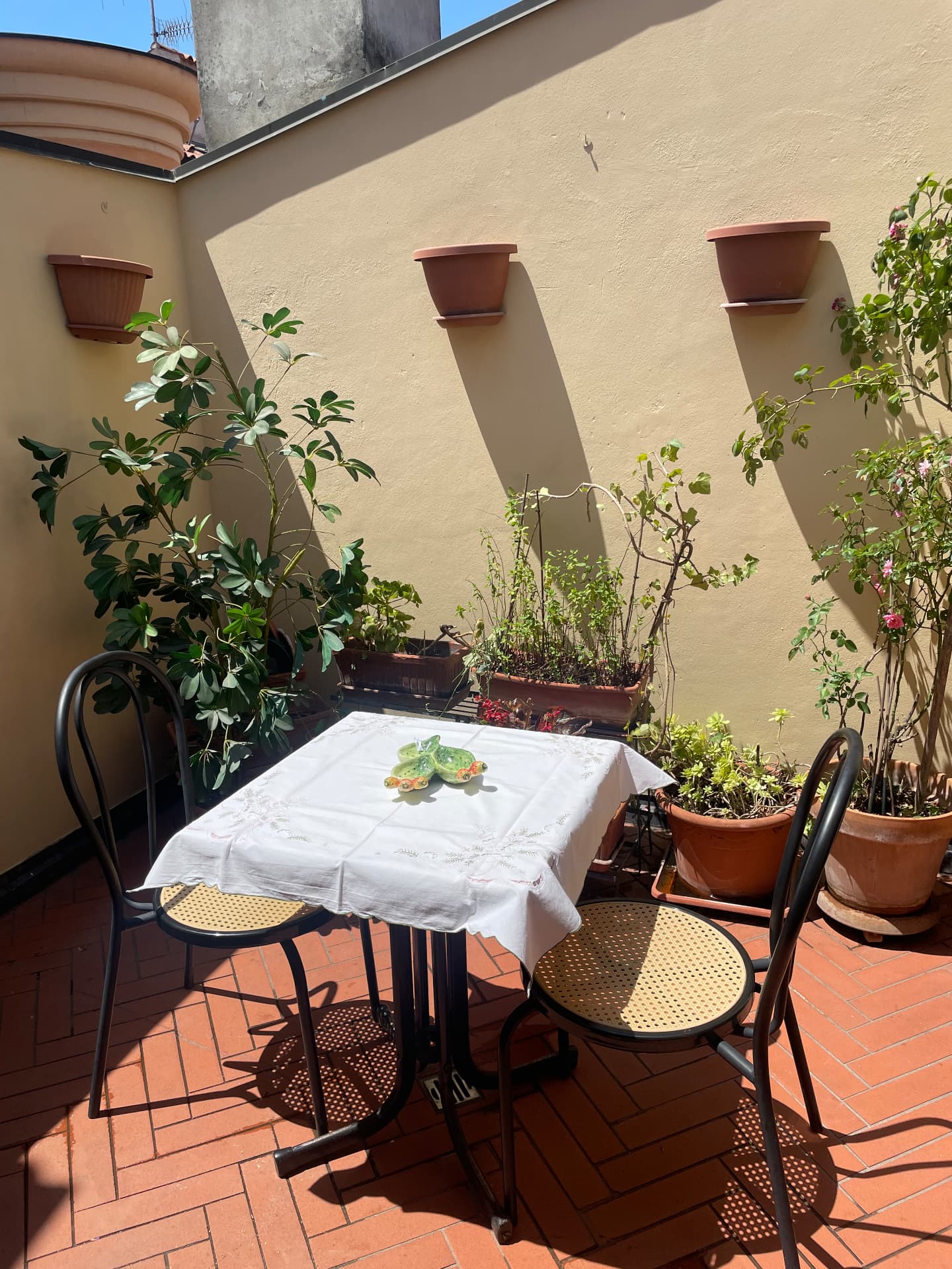 Terrace with a small table, two chairs, potted plants and wall planters in the sun